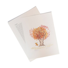 Il Faggio - The Beech
