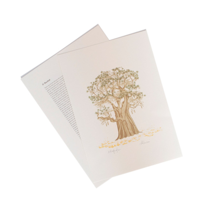 Il Baobab - The Baobab